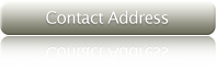 Contact Address